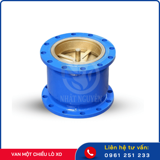 Van 1 chiều lò xo